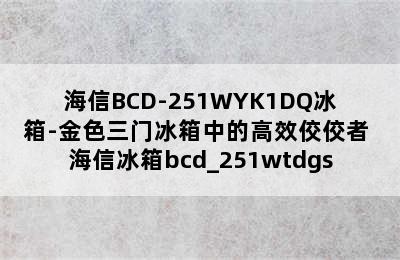 海信BCD-251WYK1DQ冰箱-金色三门冰箱中的高效佼佼者 海信冰箱bcd_251wtdgs